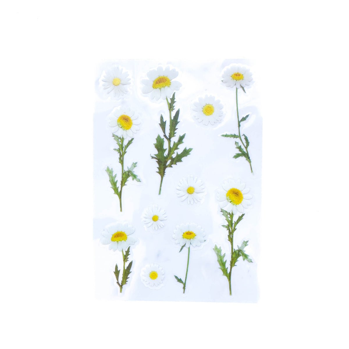 Journal Sticker Pack | Natural Daisy