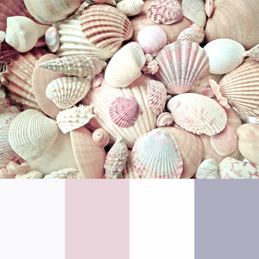 VBPen Bundle | Seashell