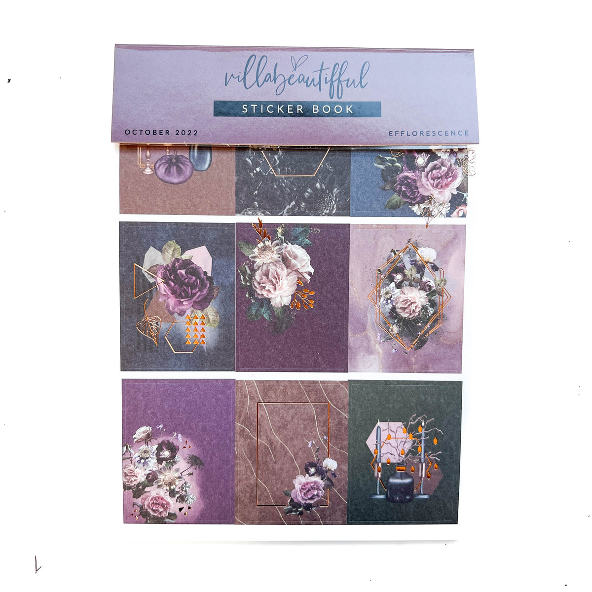 VB Sticker Book | Efflorescence